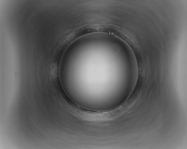 X0000113270036200909101528