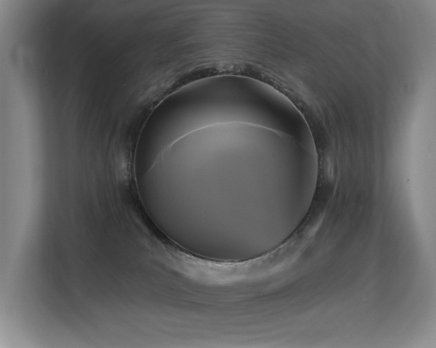 X0000113270039200909101528