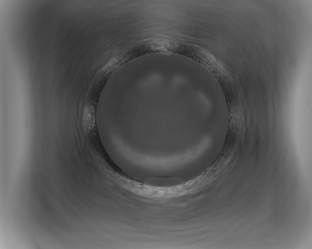 X0000113270043200909101528