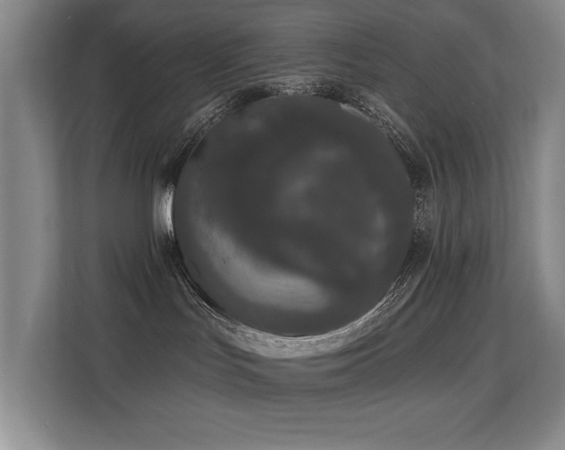 X0000113270047200909101528