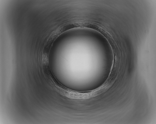 X0000113270048200909101528