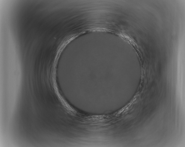 X0000113270049200909101527