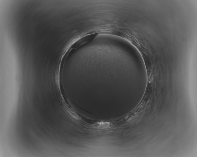 X0000113270052200909101527