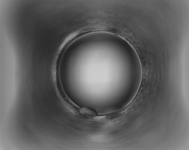 X0000113270054200909101527