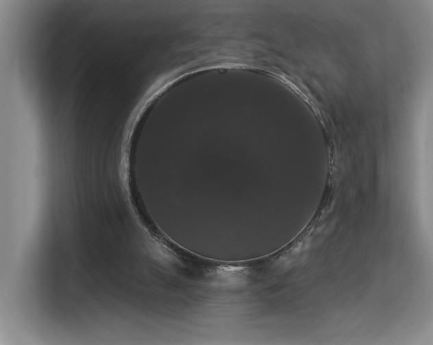 X0000113270055200909101527