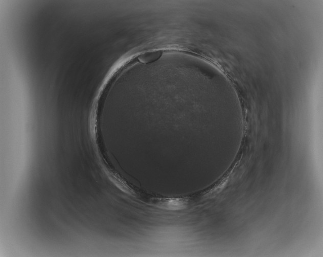 X0000113270056200909101527