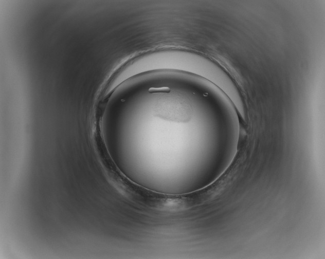 X0000113270060200909101527