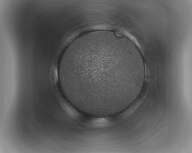 X0000113270061200909101527