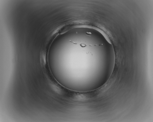 X0000113270062200909101527