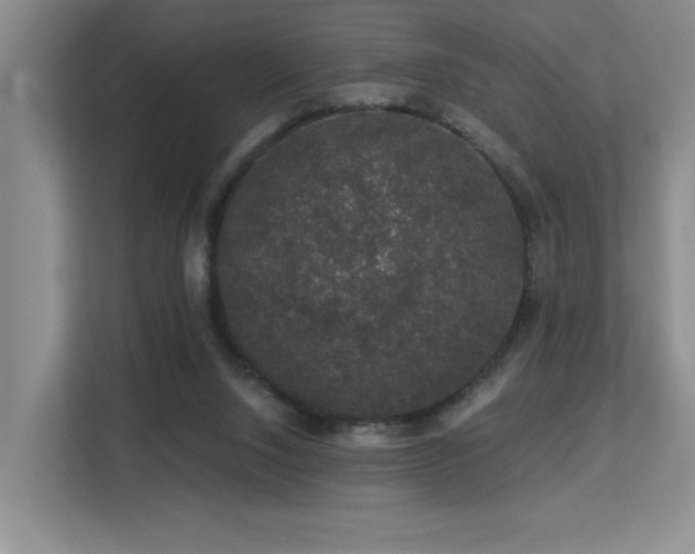 X0000113270064200909101527