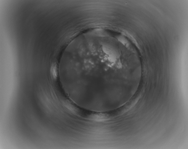 X0000113270069200909101527