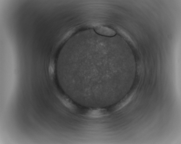 X0000113270072200909101527