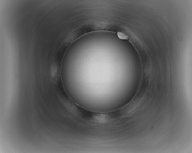 X0000113270079200909101527