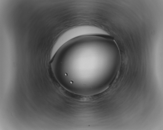 X0000113270080200909101527