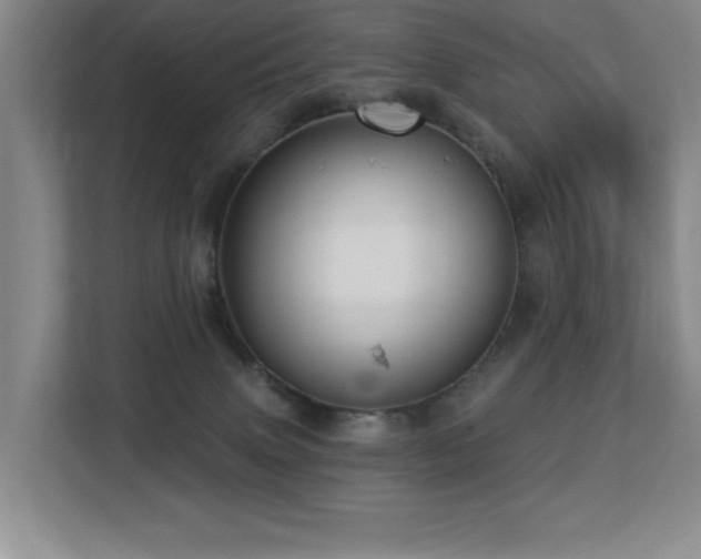 X0000113270083200909101527