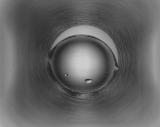 X0000113270084200909101527