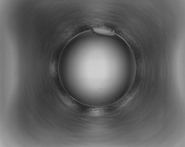 X0000113270088200909101528