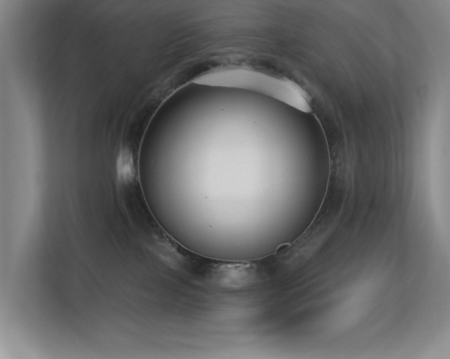X0000113270089200909101528