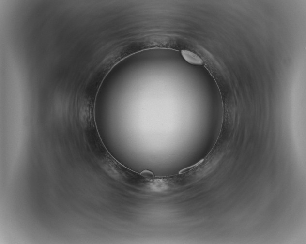 X0000113270091200909101528
