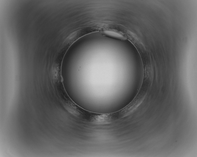 X0000113270092200909101528