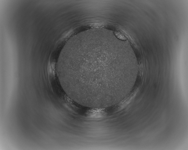 X0000113270093200909101528