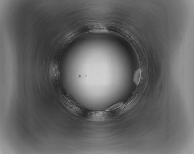 X0000113270096200909101528