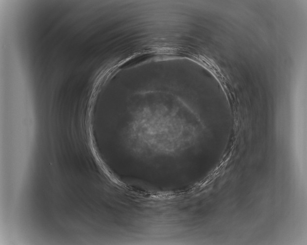 X0000113270097200909101527