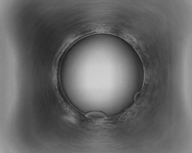 X0000113270098200909101527