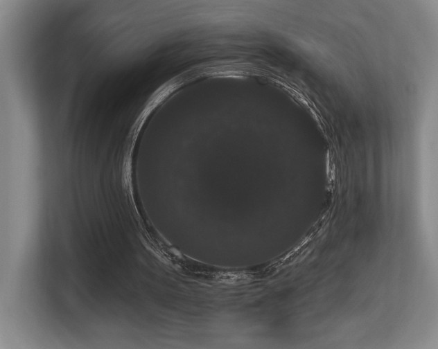 X0000113270099200909101527