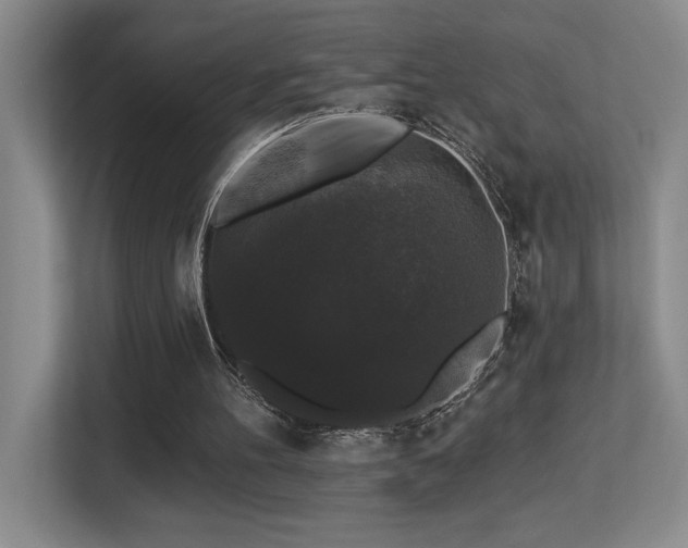 X0000113270100200909101527
