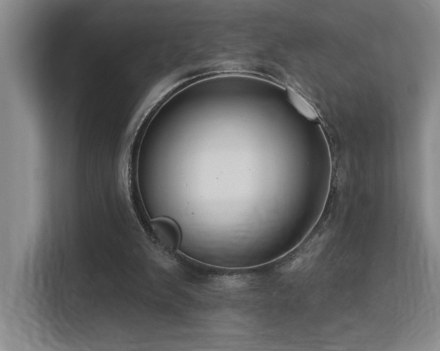 X0000113270103200909101527
