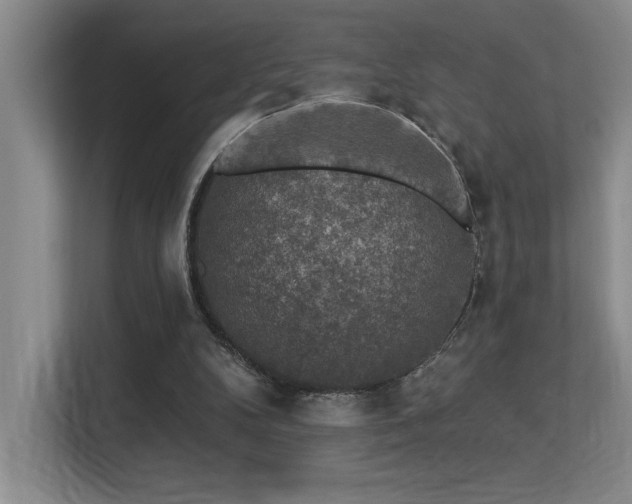 X0000113270104200909101527