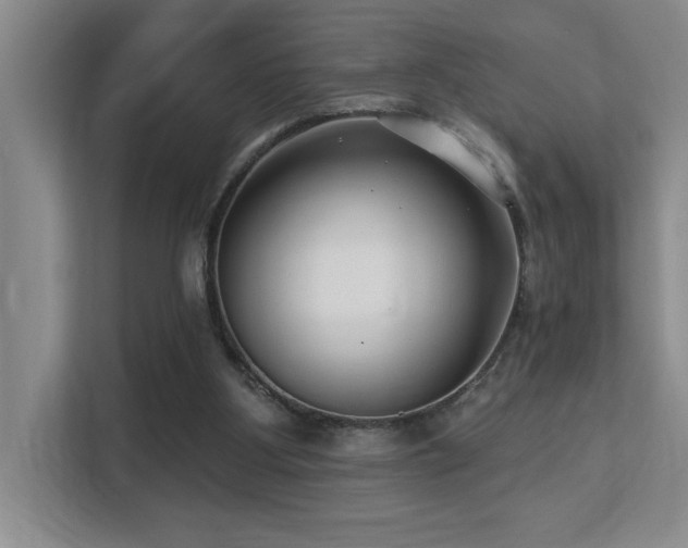 X0000113270107200909101527