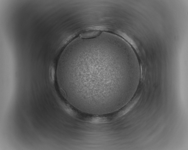 X0000113270109200909101527