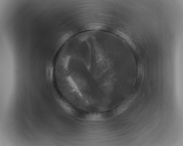 X0000113270110200909101527