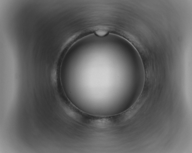 X0000113270112200909101527