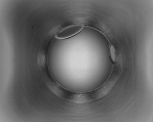X0000113270117200909101527