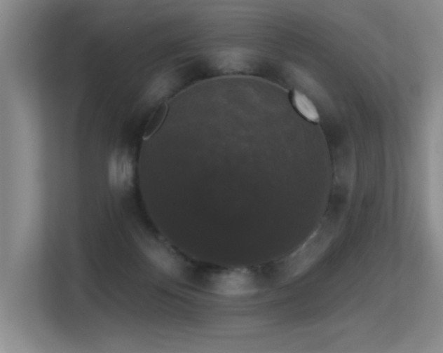 X0000113270124200909101527