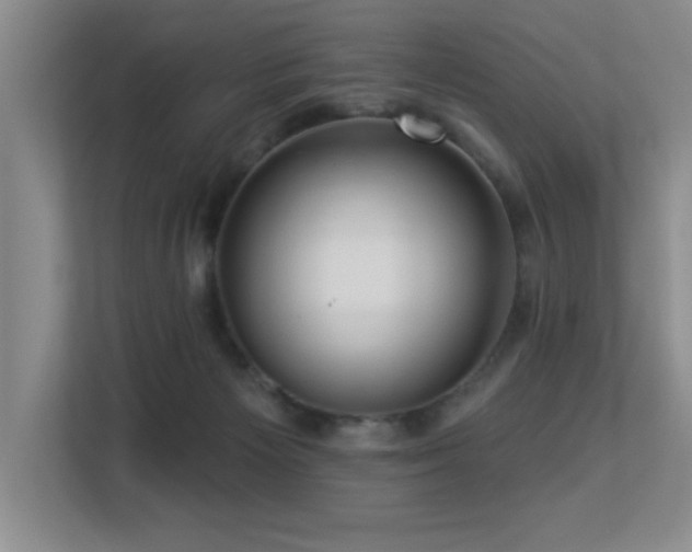 X0000113270125200909101527
