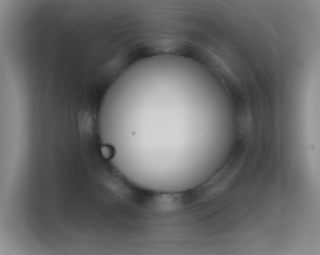 X0000113270126200909101527