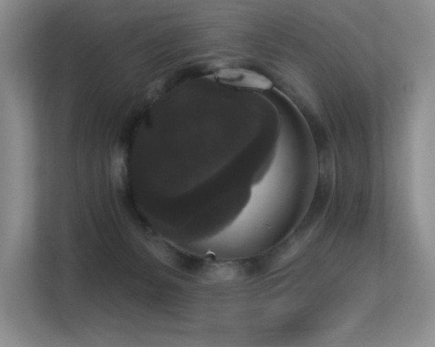 X0000113270127200909101527