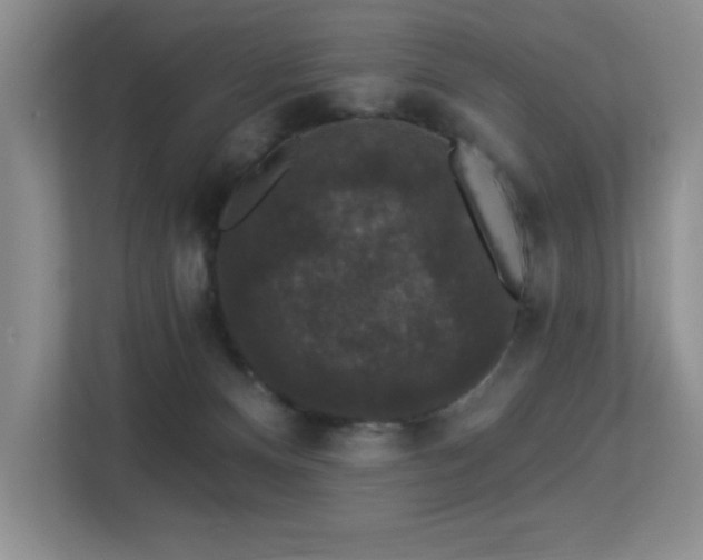 X0000113270128200909101527
