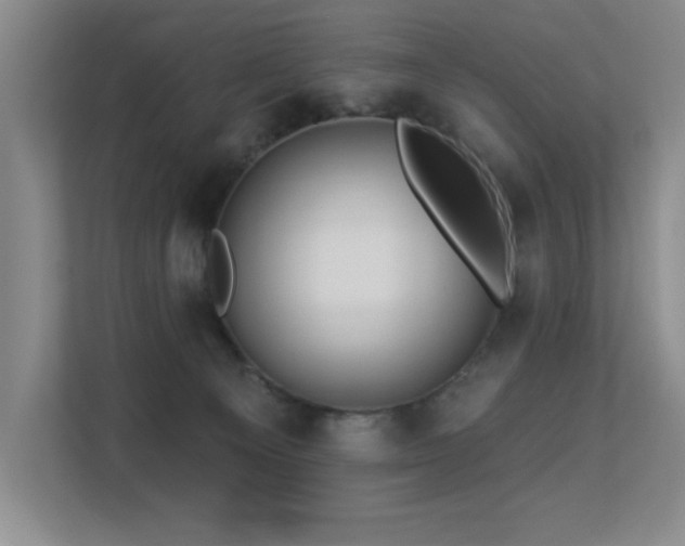 X0000113270129200909101527
