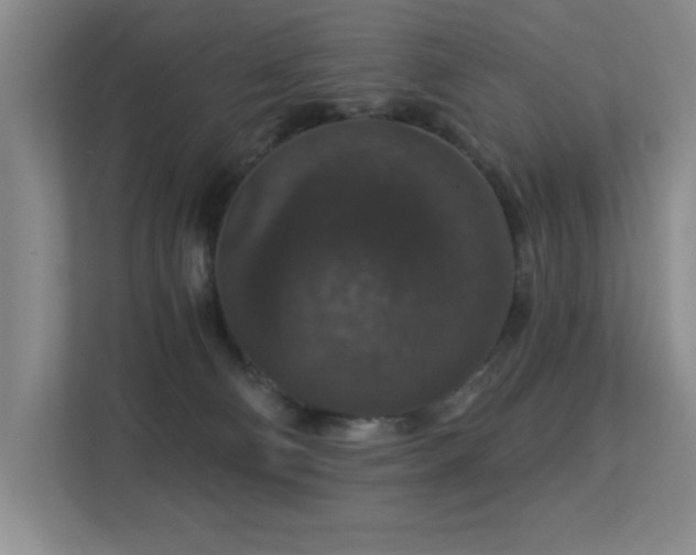 X0000113270130200909101527