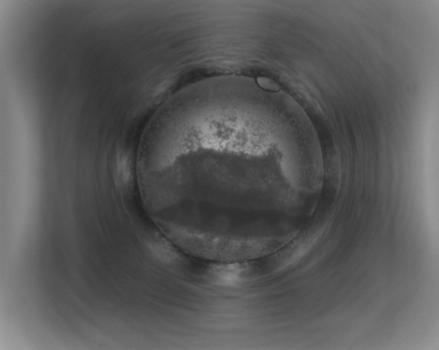 X0000113270131200909101527