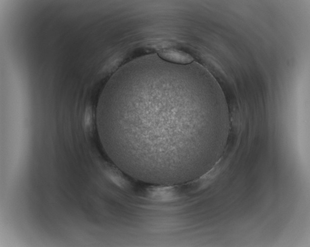 X0000113270132200909101527