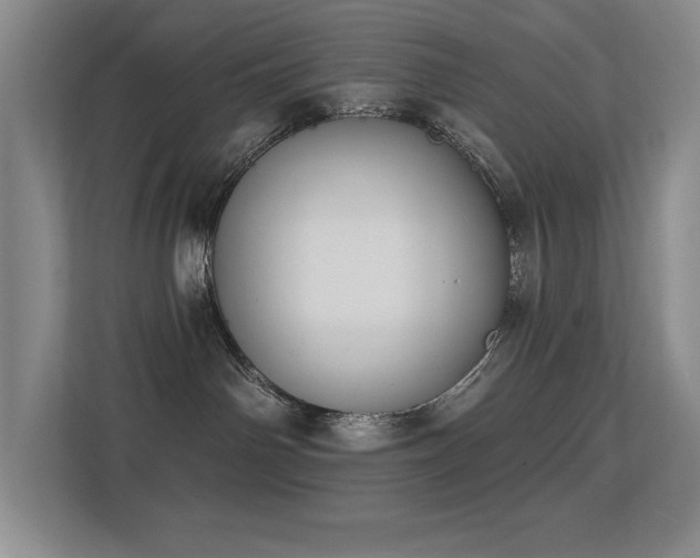 X0000113270142200909101526