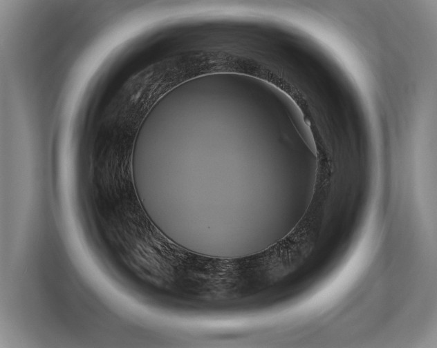 X0000113270143200909101526