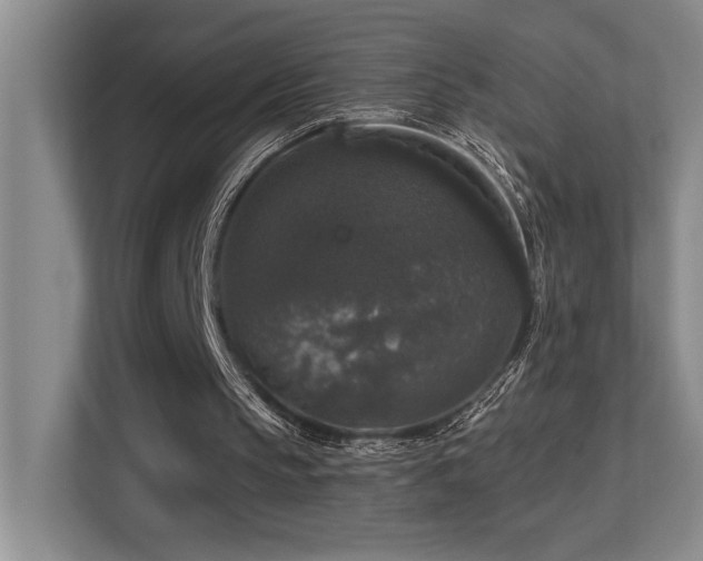 X0000113270145200909101526