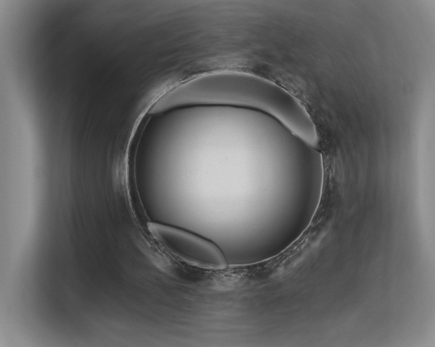 X0000113270148200909101526